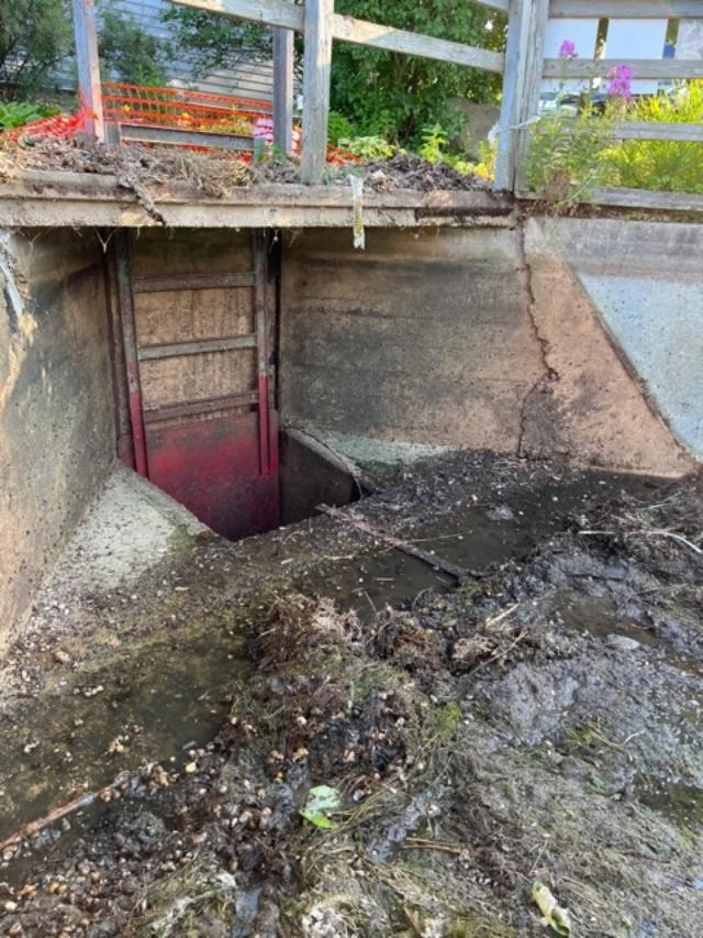 https://www.dundeemill.org/pictures/2023/9 w0eqckl8.jpg